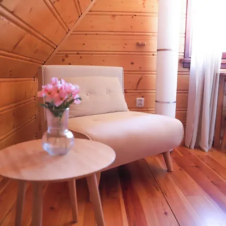 Tabakowa Apartman Zawoja